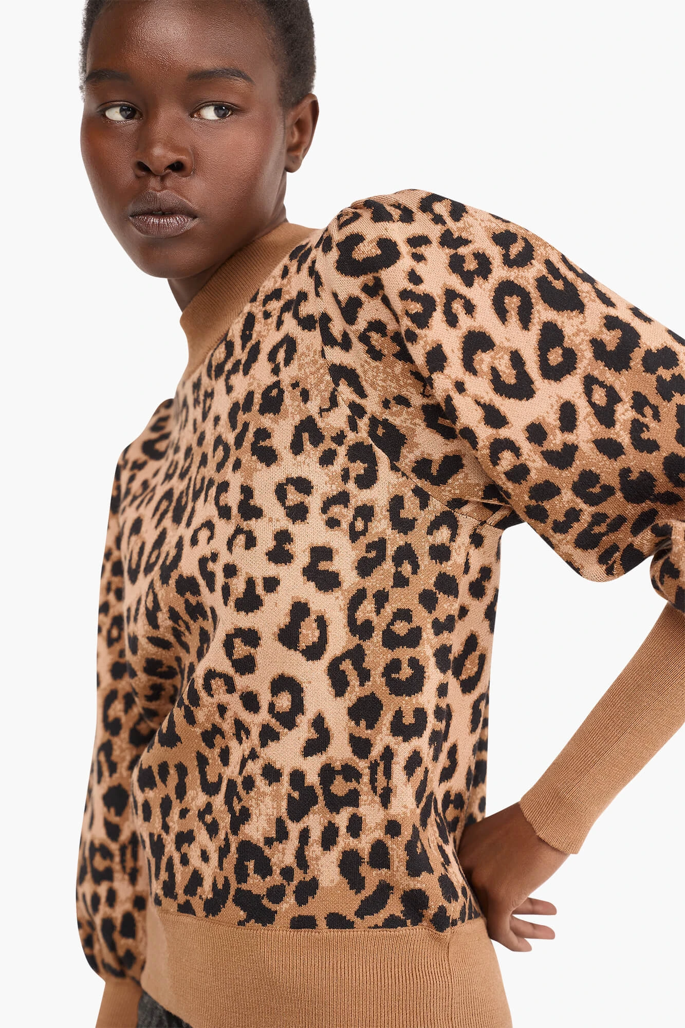 Trui Dames Pof Mouw Viscose Jay Panterprint